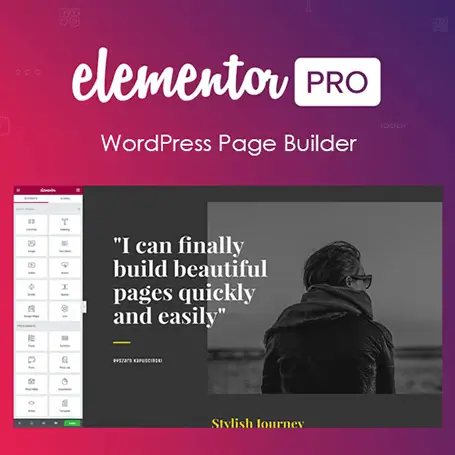 Elementor-PRO-WordPress-Page-Builder-plugin